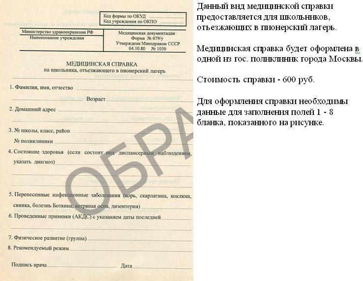 Как выглядит справка для лагеря 079