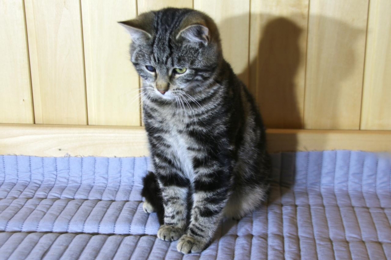 ����� ������ � ������������ ������� � ���