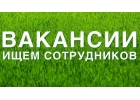 Требуется администратор на удаленную работу.