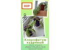 Комнатные цветы 🪴🪴🪴